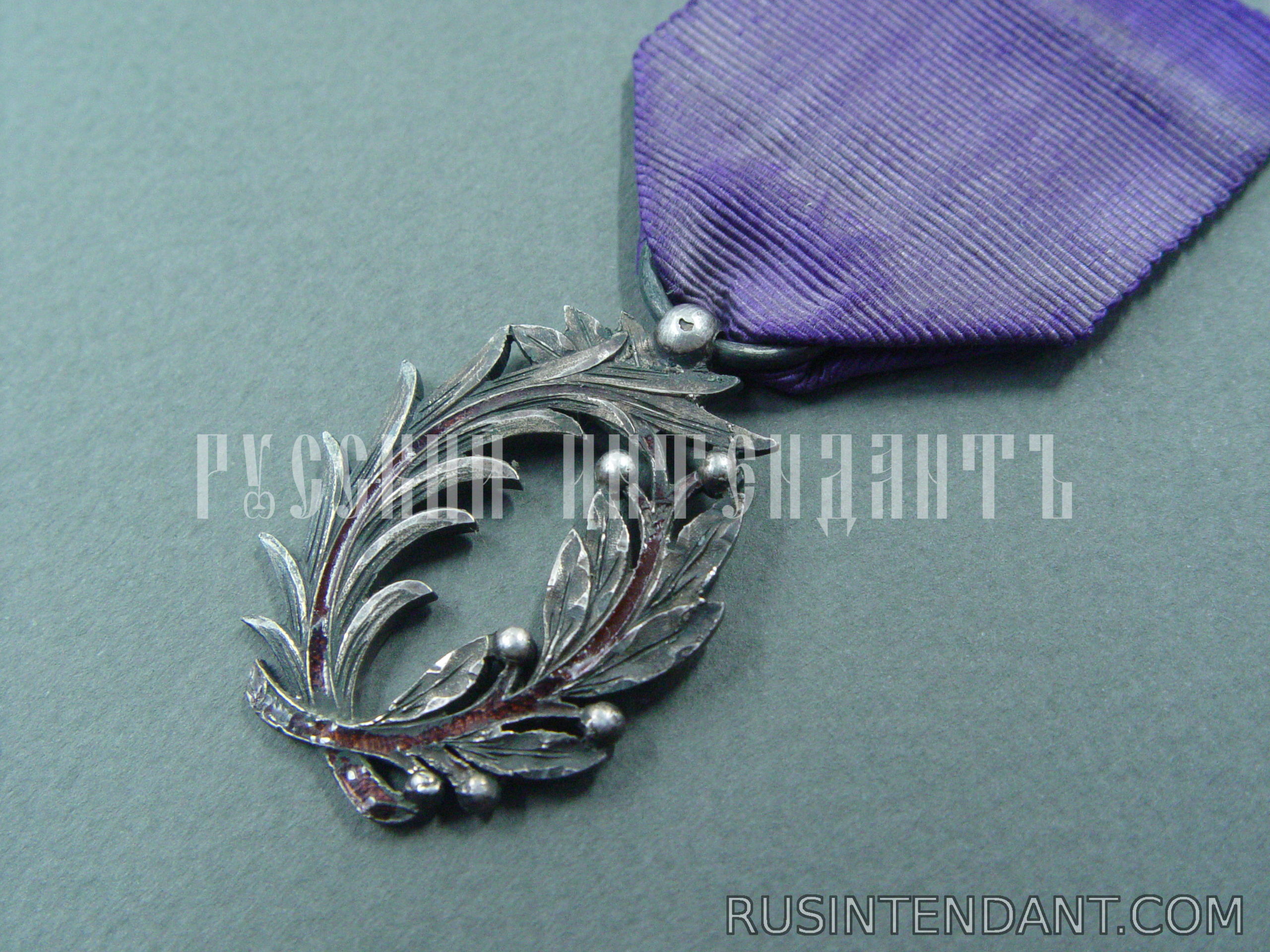 Фото 2: Орден Академических пальм на орденской ленте 