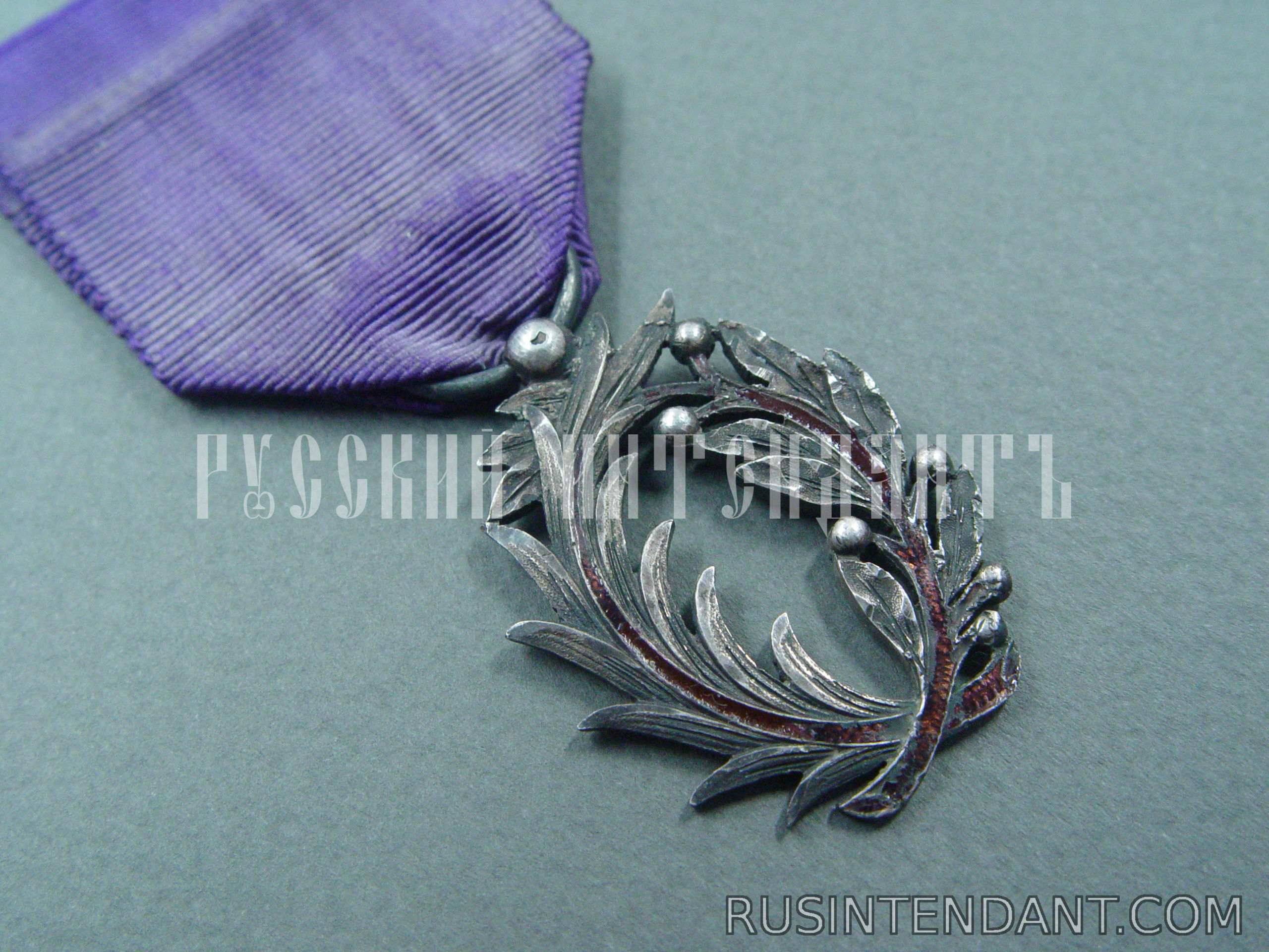 Фото 3: Орден Академических пальм на орденской ленте 