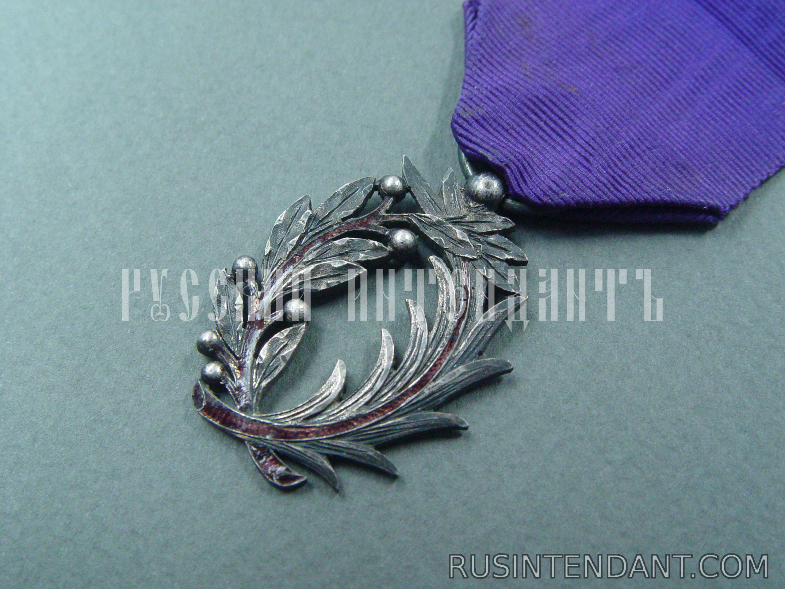 Фото 4: Орден Академических пальм на орденской ленте 