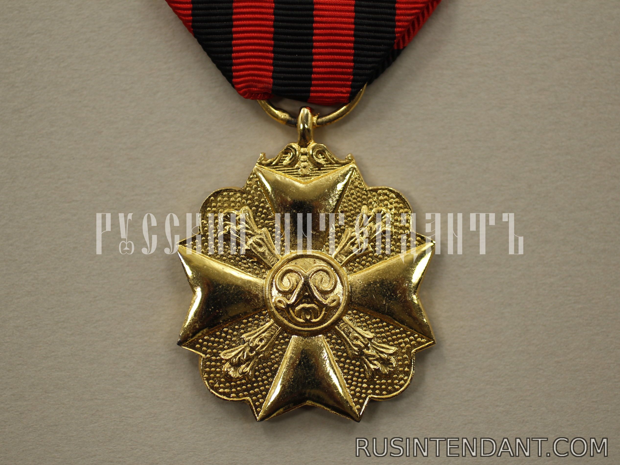 Фото 1: Золотая медаль Гражданского знака отличия 