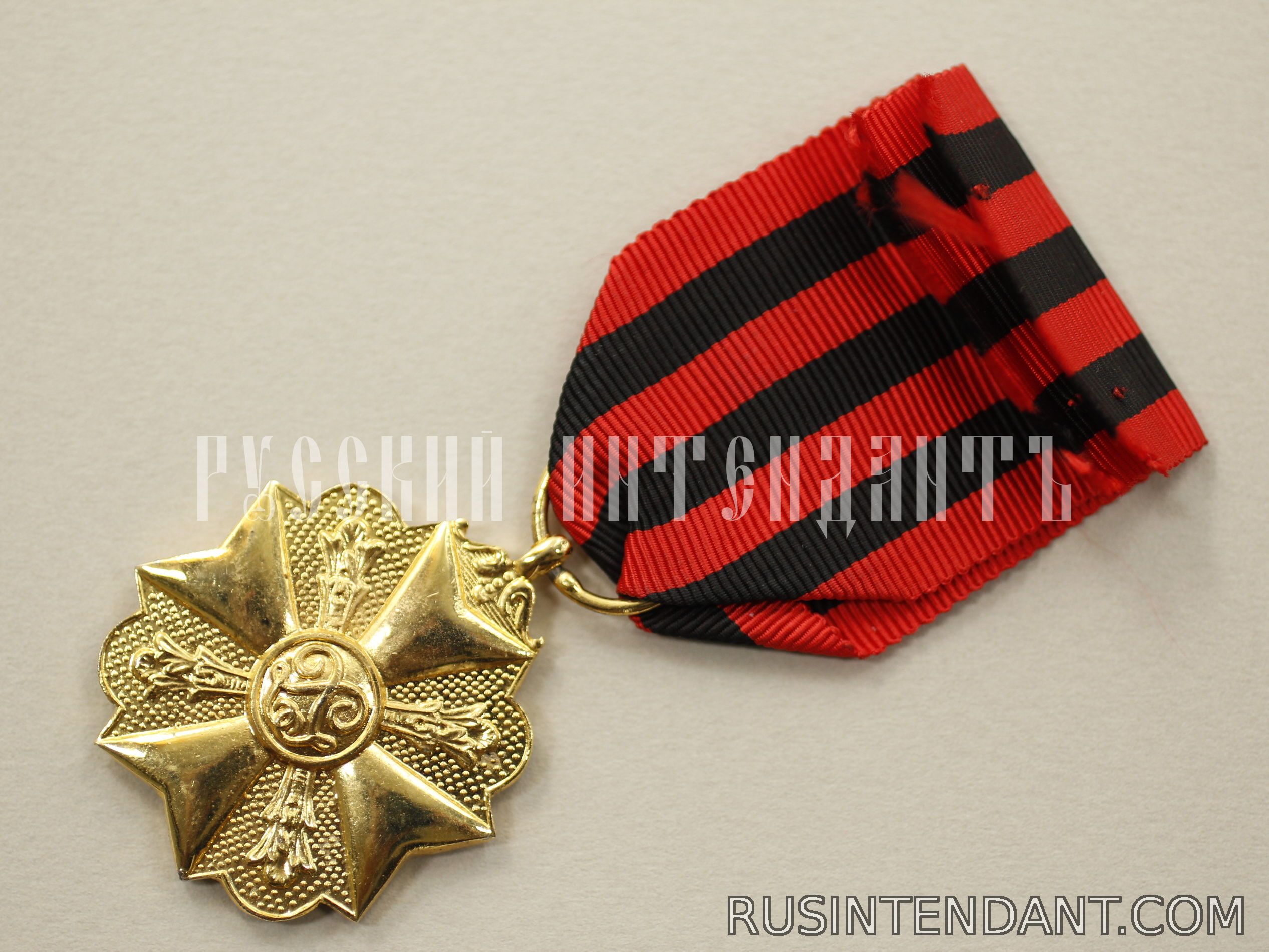 Фото 4: Золотая медаль Гражданского знака отличия 