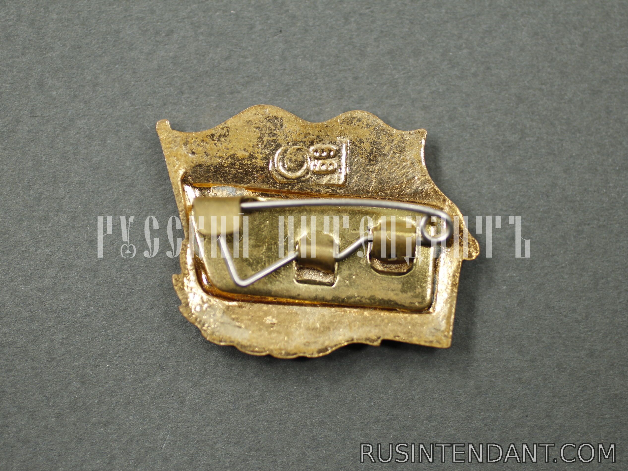 Фото 2: Знак «За Дальний Поход» 