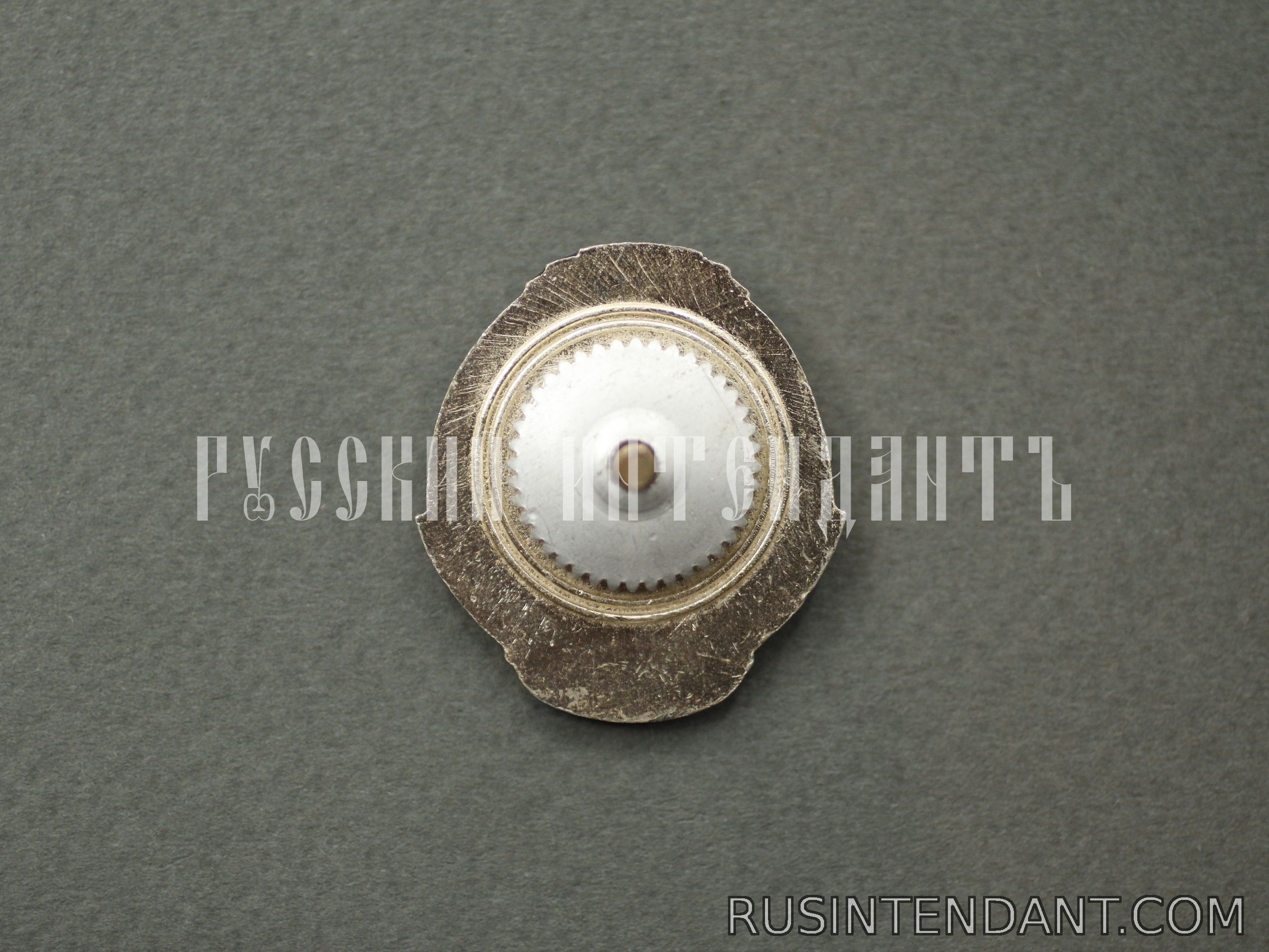 Фото 2: Знак «За отличие в воинской службе» 