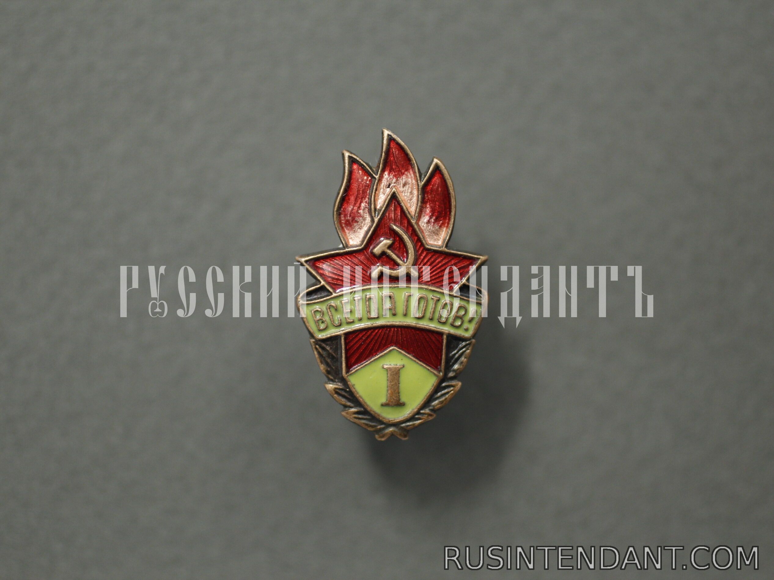 Фото 1: Знак «Всегда готов!» I ступень 