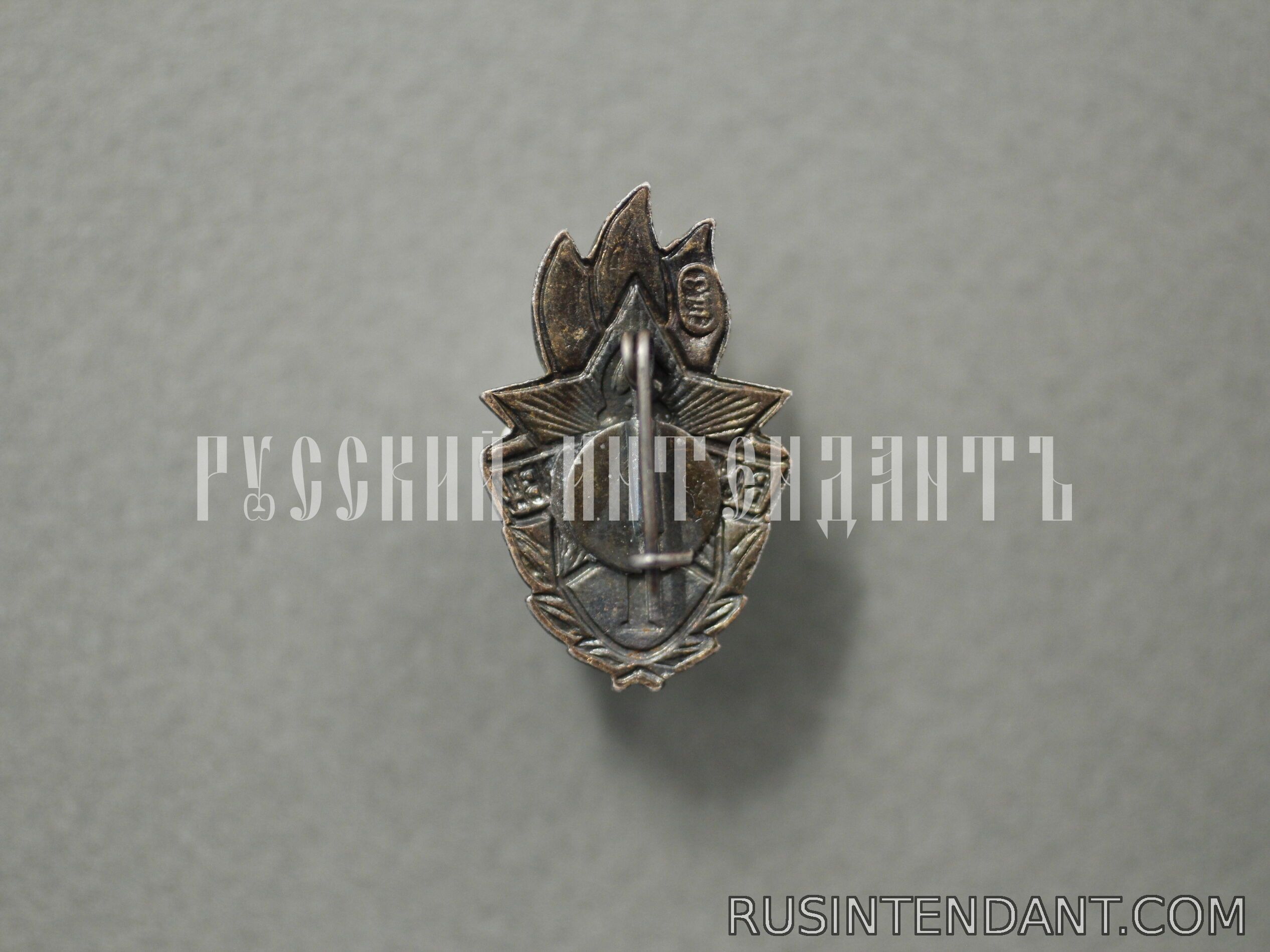 Фото 2: Знак «Всегда готов!» I ступень 