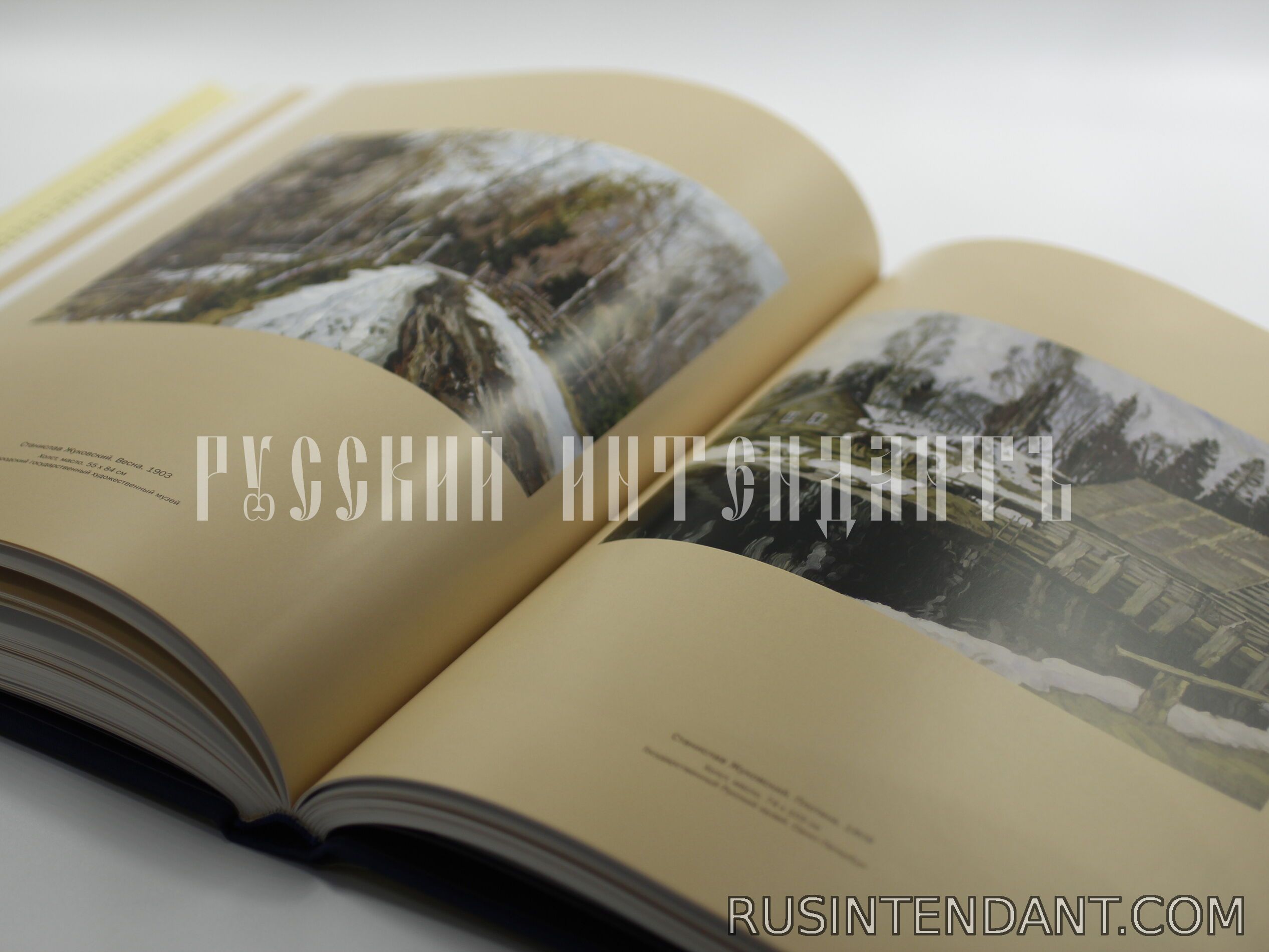 Фото 4: Книга «Импрессионизм в русской живописи» 