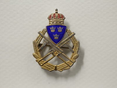 Знак «За стрельбу»