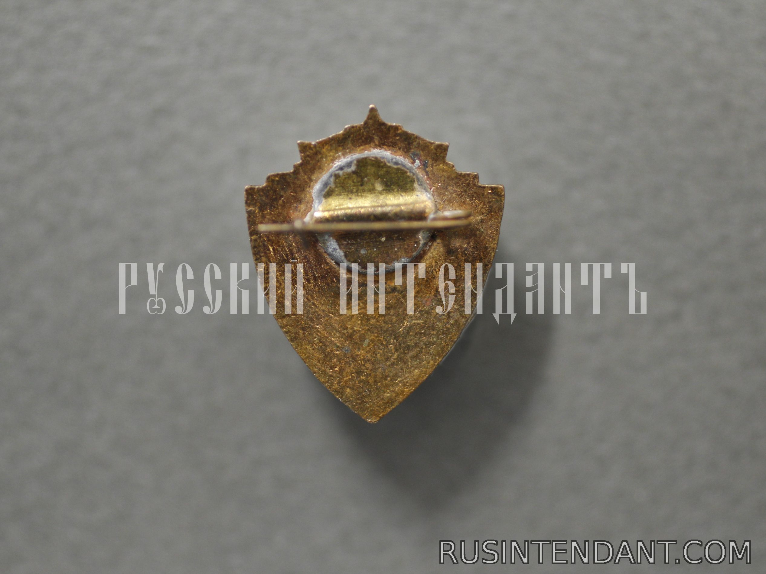 Фото 2: Знак Общественный инструктор ДСО «Буревестник» 