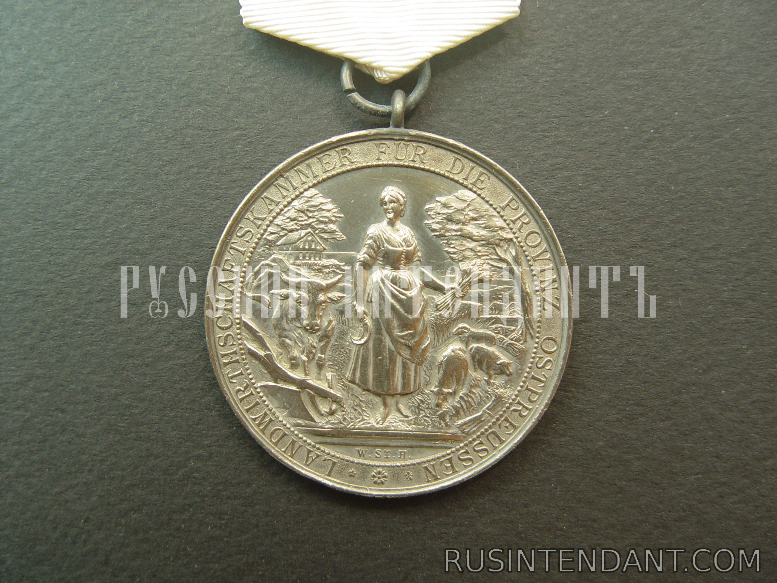 Фото 1: Медаль За заслуги в сельском хозяйстве 