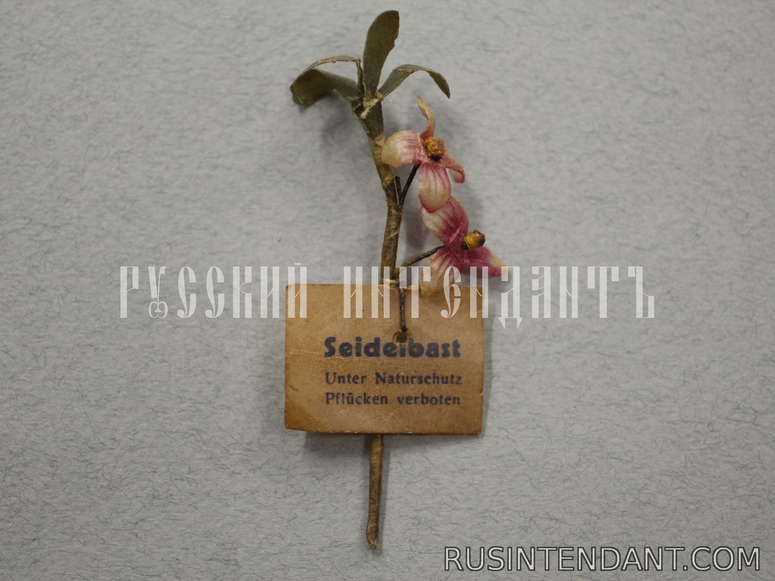 Фото 1: Знак за пожертвование «Волчеягодник» 