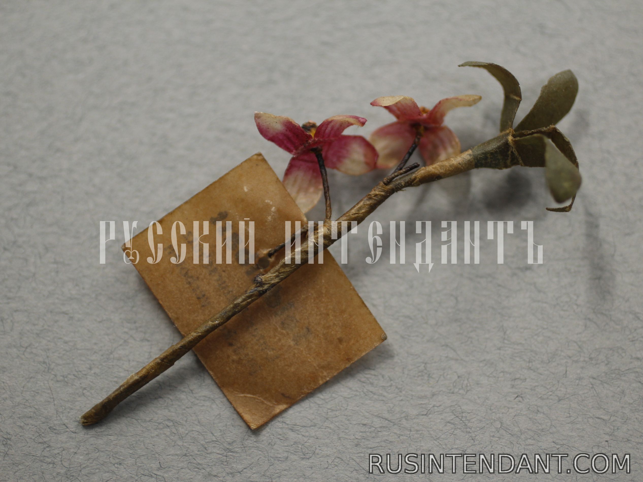 Фото 3: Знак за пожертвование «Волчеягодник» 