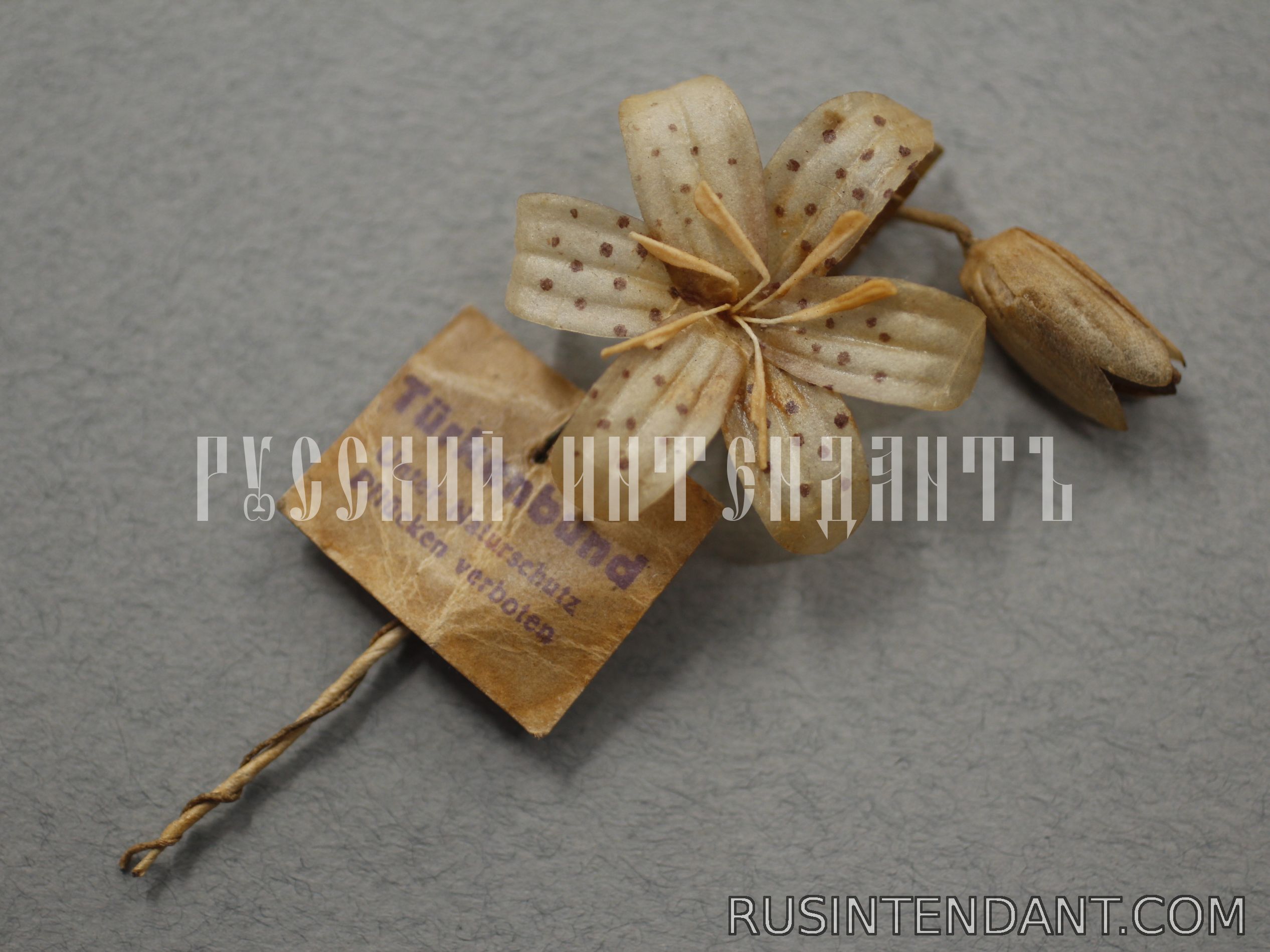 Фото 2: Знак за пожертвование «Лилия кудреватая» 