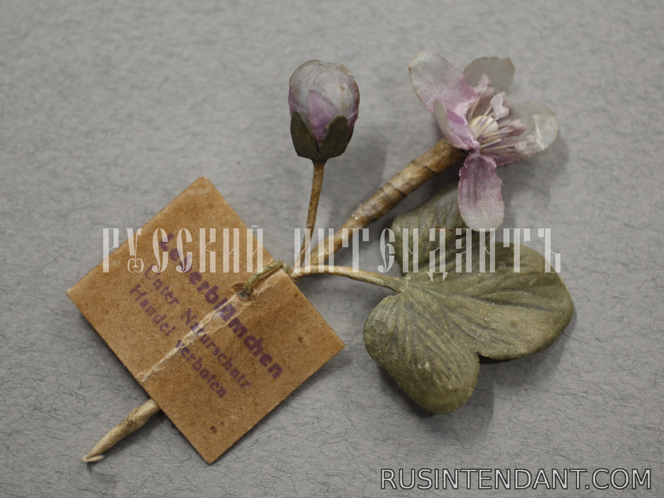 Фото 2: Знак за пожертвование «Печёночница благородная» 