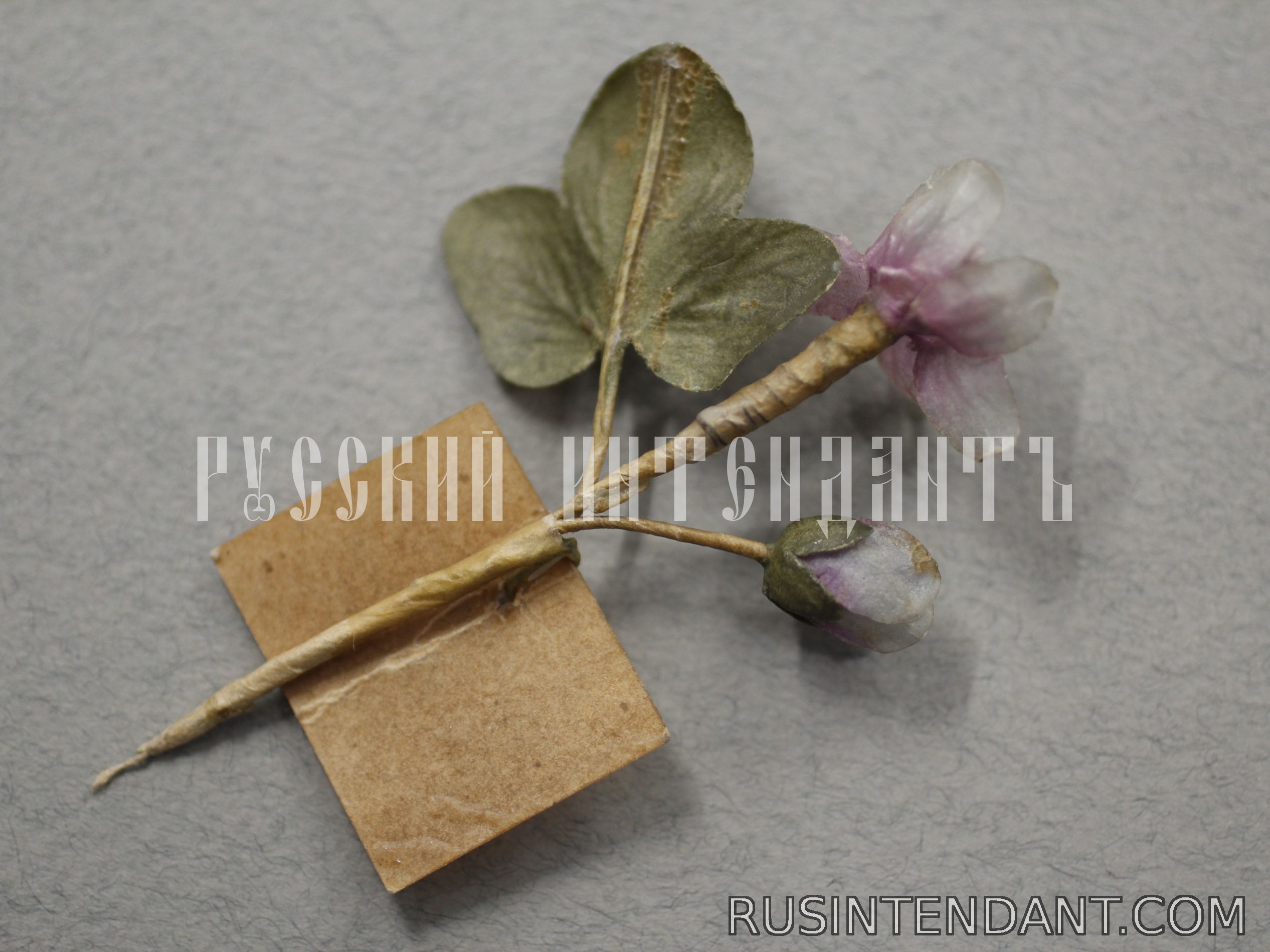 Фото 3: Знак за пожертвование «Печёночница благородная» 