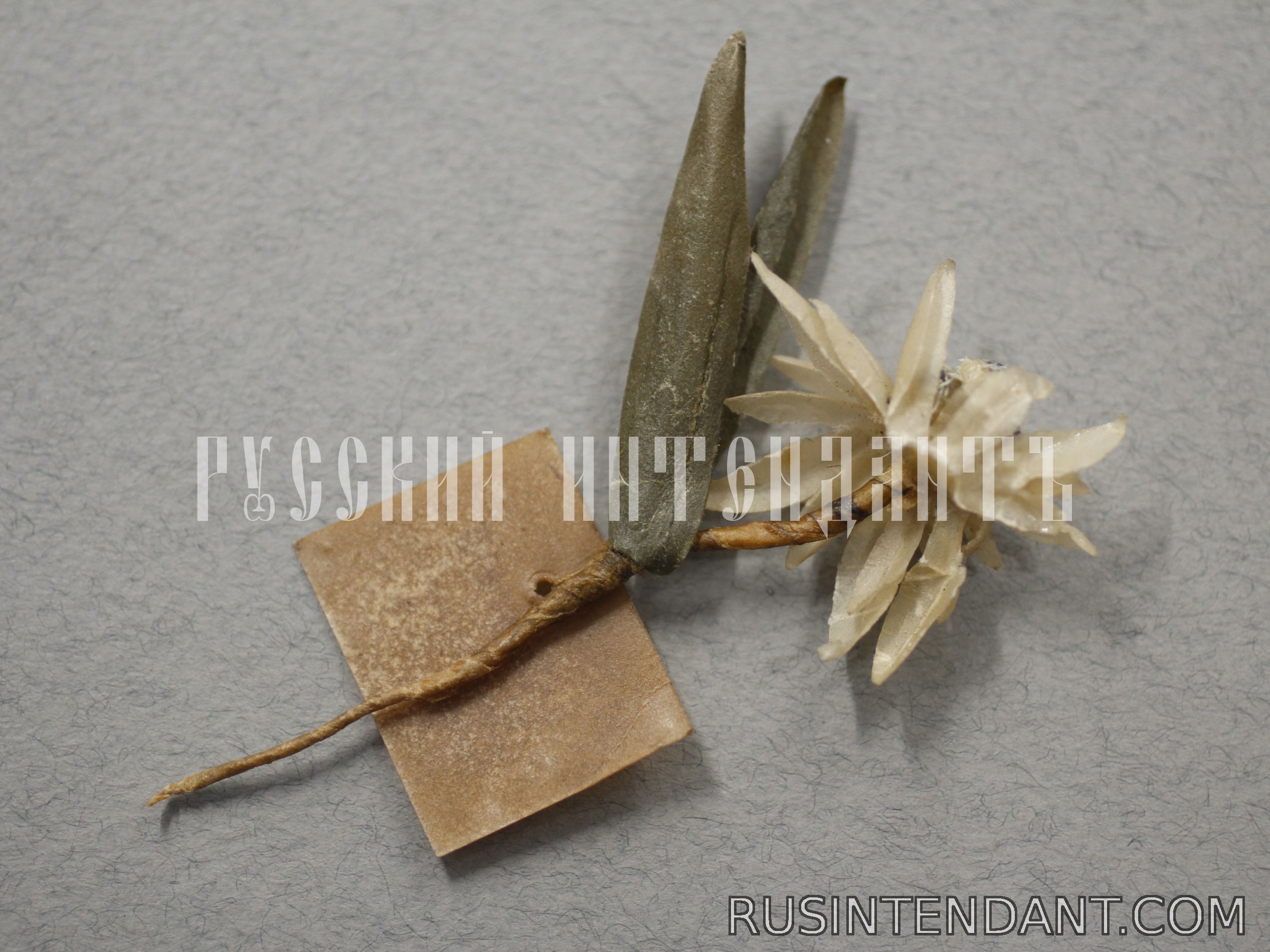 Фото 3: Знак за пожертвование «Эдельвейс» 