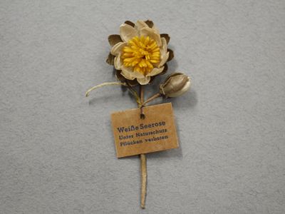 Знак за пожертвование «Белая водяная лилия»