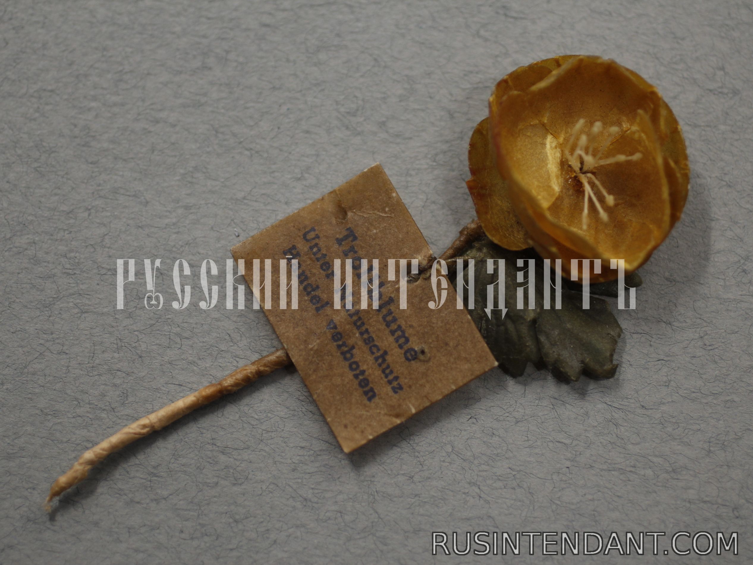 Фото 2: Знак за пожертвование «Купальница европейская» 