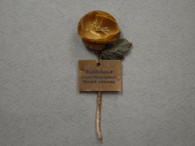 Знак за пожертвование «Купальница европейская»