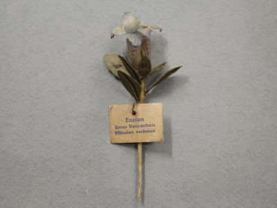 Знак за пожертвование «Горечавка»