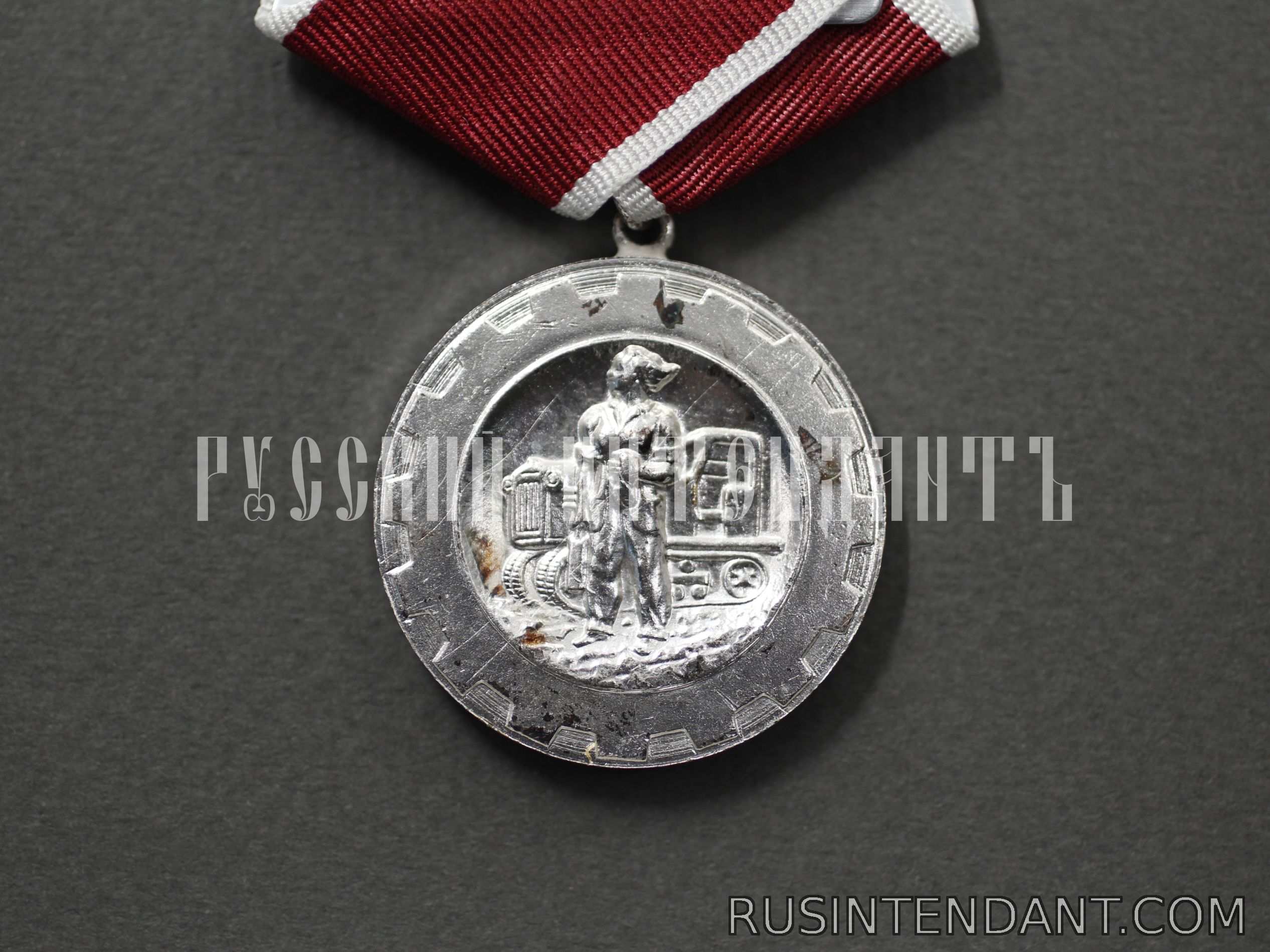 Фото 2: Медаль «За трудовой отличие» 