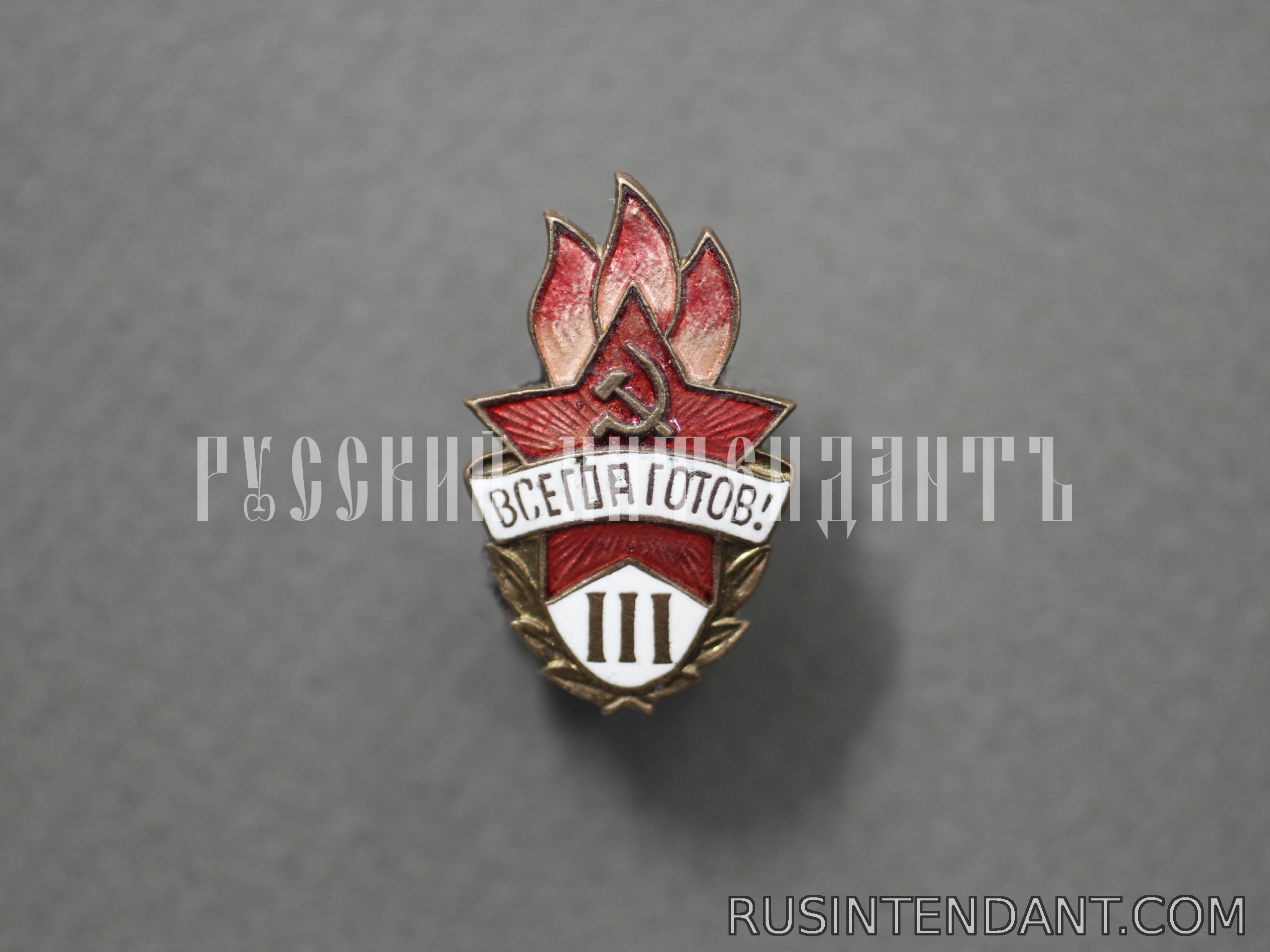 Фото 1: Знак «Всегда готов!» III ступень 