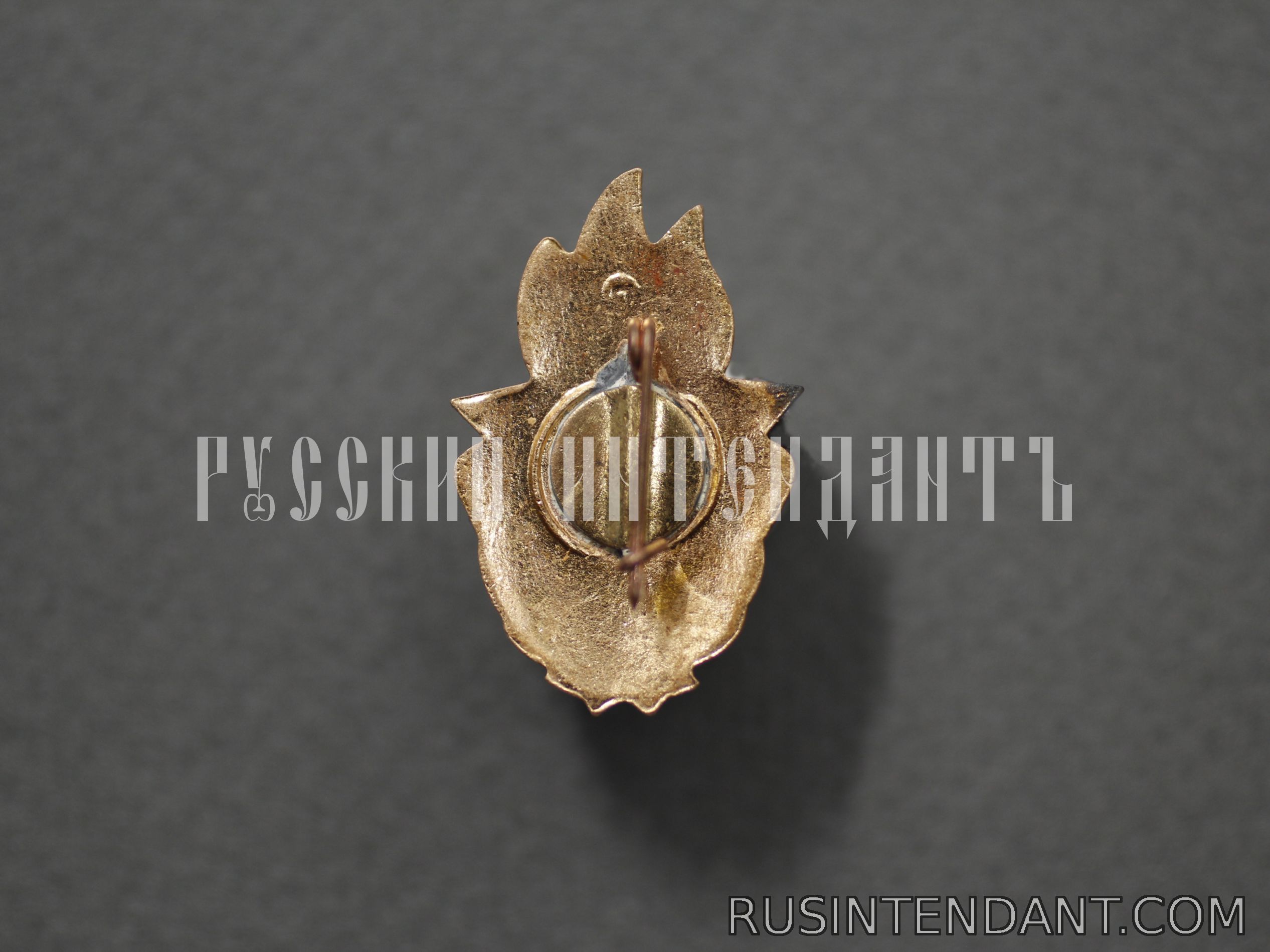 Фото 2: Знак «Всегда готов!» II ступень 