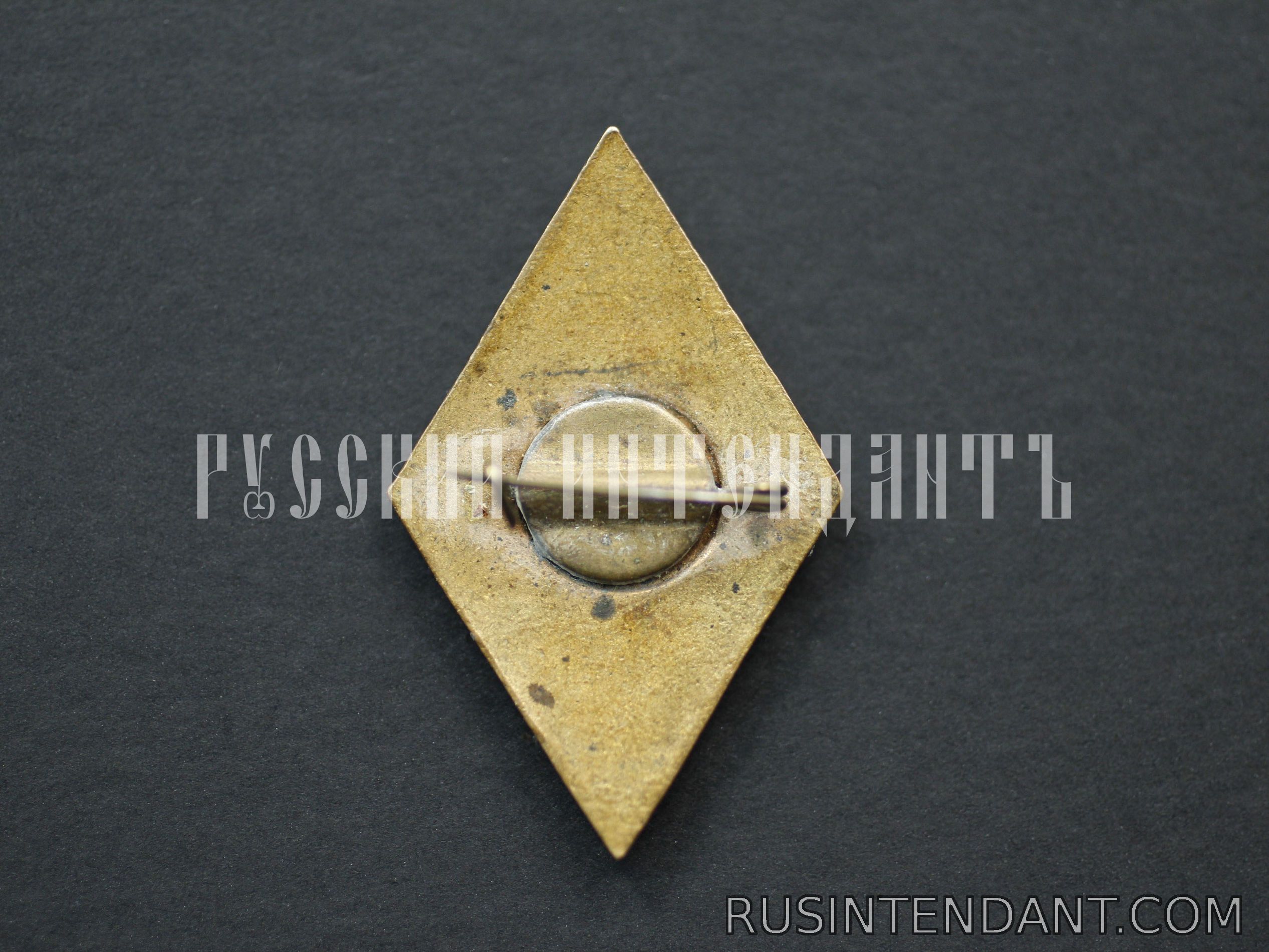 Фото 2: Знак "Будь готов к санитарной обороне СССР" 